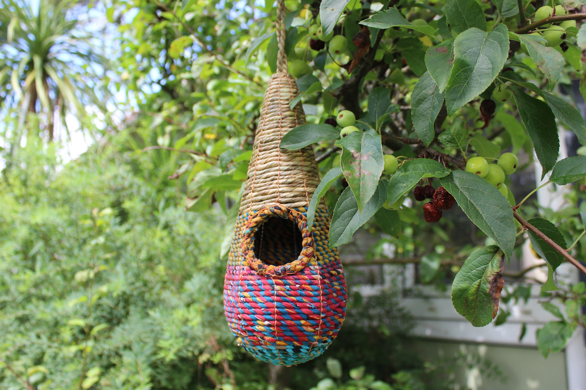A vibrant teardrop-shaped woven birdhouse, the Wildlife World Tahera Artisan Wild Bird Nester - Elegant Fair Trade Teardrop Design, hangs from a leafy tree branch. Showcasing a small entrance hole and handcrafted with natural fibers in shades of pink, blue, and brown, this birdhouse is encased by lush green foliage.
