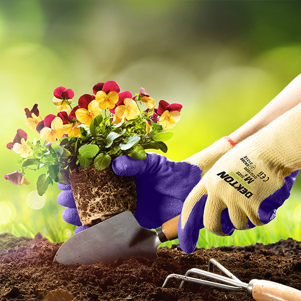 A pair of Dekton Touch Grip Latex Coated Gardening Gloves 8/Medium is holding a small flower plant with vibrant yellow and purple petals, preparing to plant it in the soil with a gardening trowel. A bright, blurred greenery background provides a serene setting.