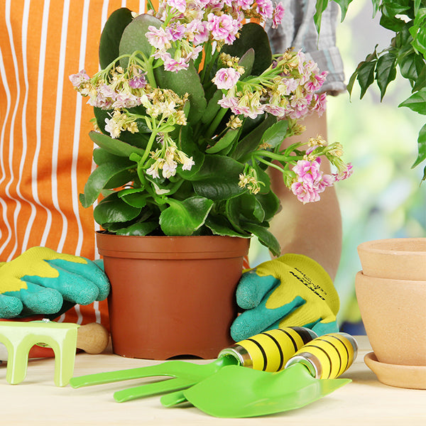 A person wearing Dekton Tough Grip Latex Coated Gardening Gloves 9/Large in blue and yellow, along with an orange-striped apron, is holding a potted plant with pink flowers. Gardening tools, including a pair of green trowels, are placed on the table in the foreground, ensuring ultimate protection for their hands.