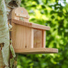 A Wildlife World Squirrel Feeder, crafted from FSC-certified timber, is attached to the trunk of a birch tree. The background features lush green foliage, suggesting a natural environment. The feeder has a simple, rustic design with a sloped roof and a small platform.