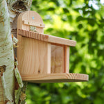 A Wildlife World Squirrel Feeder, crafted from FSC-certified timber, is attached to the trunk of a birch tree. The background features lush green foliage, suggesting a natural environment. The feeder has a simple, rustic design with a sloped roof and a small platform.