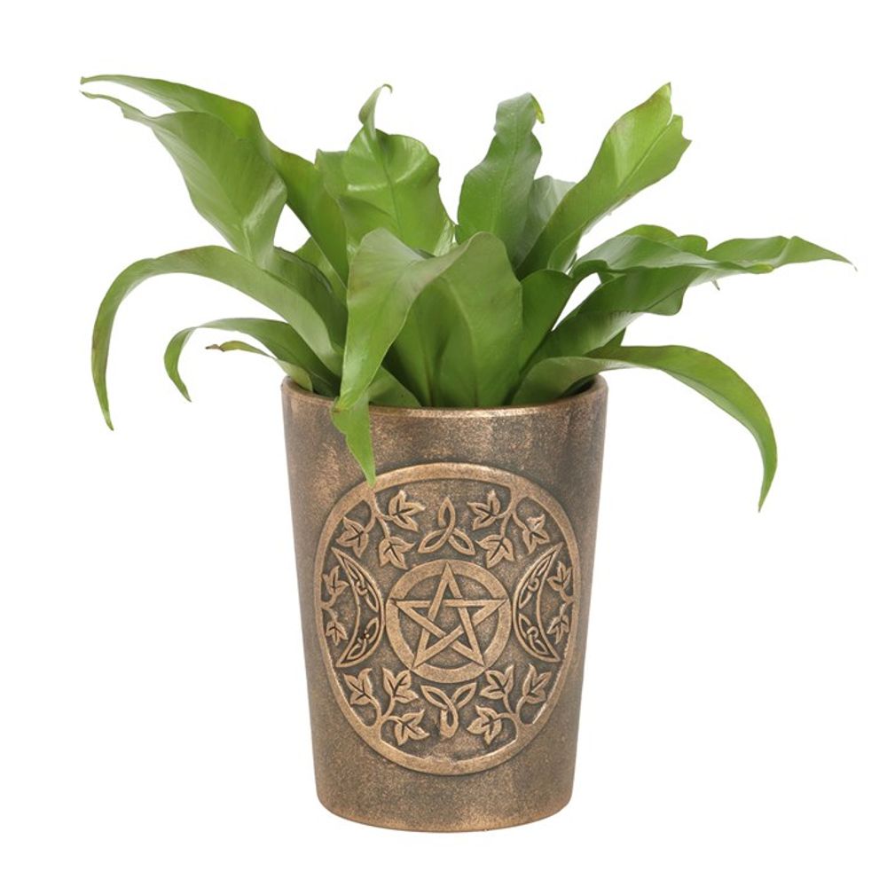 A leafy green plant with broad, wavy leaves is potted in the Triple Moon Bronze Terracotta Plant Pot by Lisa Parker. This tall, cylindrical pot features engraved decorative patterns, including a central pentagram surrounded by crescent moons and ivy leaves, all in an antique gold finish.
