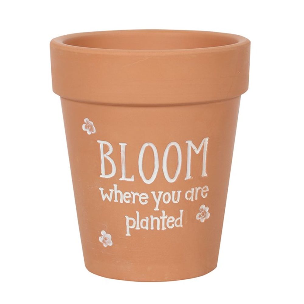 The Bloom Where You Are Planted Terracotta Plant Pot features intricate floral designs and displays the phrase "Bloom where you are planted" in white letters, enhanced by delicate white flowers—ideal for bringing charm to any garden setting.