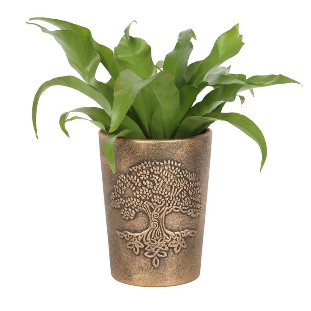 A green leafy plant in the Tree of Life Bronze Terracotta Plant Pot by Lisa Parker. The pot boasts an intricate embossed design of the Tree of Life on its exterior, adding an elegant touch to the planter. The lush green leaves contrast beautifully with the metallic bronze sheen of the pot, reminiscent of a fantasy artist masterpiece by Lisa Parker.