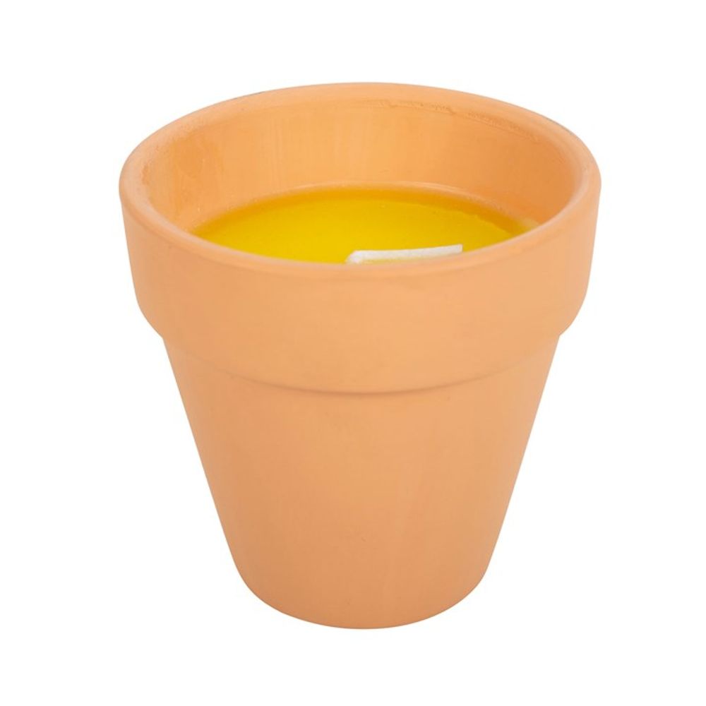 The Gardener of the Year Citronella Candle is a terracotta pot filled with citronella wax and a wick, featuring a simple, round design perfect for keeping any gardener's outdoor space stylish and mosquito-free.