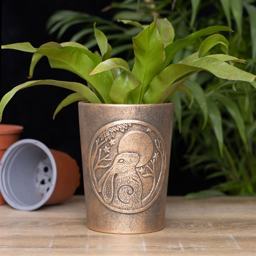 A potted plant with bright green leaves is placed in the Moon Gazing Hare Bronze Terracotta Plant Pot by Lisa Parker, featuring an engraved design of a bird among branches. The terracotta pot rests on a wooden surface, surrounded by other empty pots in the background, adding to the charm reminiscent of a Lisa Parker collection.