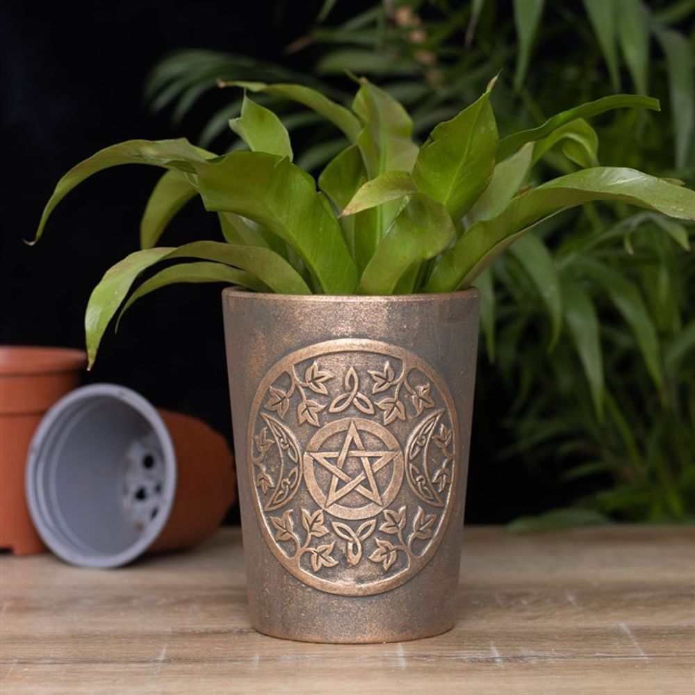 A lush green plant with broad leaves is potted in a decorative Triple Moon Bronze Terracotta Plant Pot by Lisa Parker, featuring intricate carvings, including a pentagram in the center. The planter sits on a wooden surface with a couple of toppled empty pots in the background.
