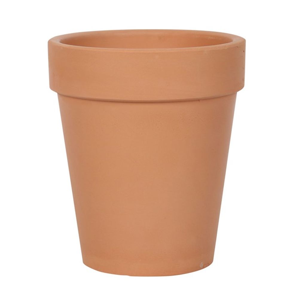 The Bloom Where You Are Planted Terracotta Plant Pot, featuring a plain design and wide rim, stands upright against a white background.