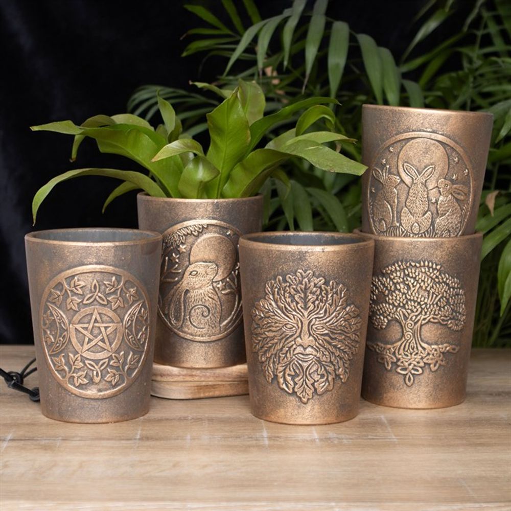 Five intricately carved, bronze terracotta plant pots are displayed on a wooden surface with lush green plants in the background. Among them is the Triple Moon Bronze Terracotta Plant Pot by Lisa Parker. The carvings on these pots feature motifs such as a pentagram, owl, tree of life, and other nature-inspired designs.