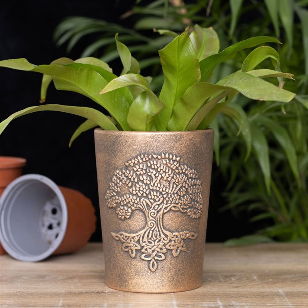 A potted plant with broad green leaves is placed on a wooden surface, housed in a Tree of Life Bronze Terracotta Plant Pot by Lisa Parker. In the background, there are other empty pots and greenery. The overall setting exudes a minimalistic and natural charm reminiscent of fantasy artist Lisa Parker's work.