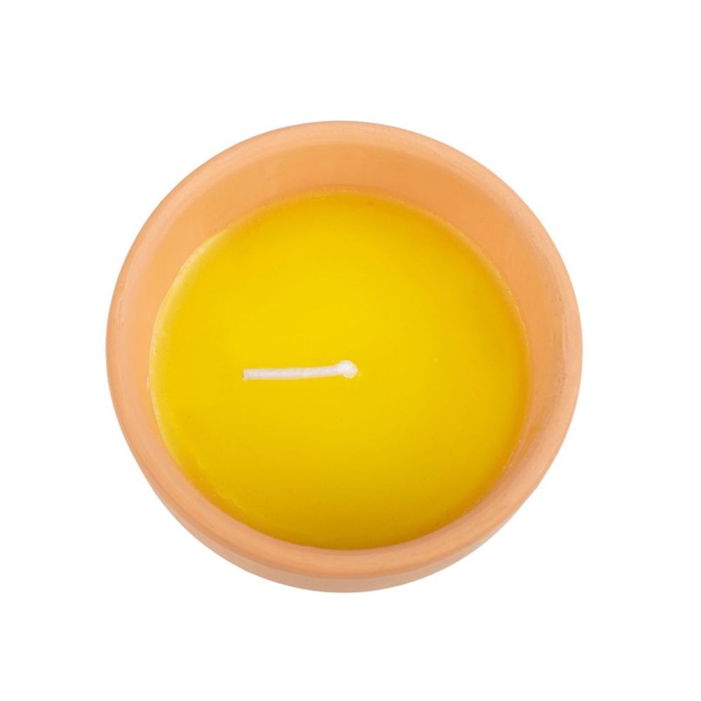 The Gardener of the Year Citronella Candle features a small ceramic plant pot containing a citronella wax candle with a single white wick, shown from above.