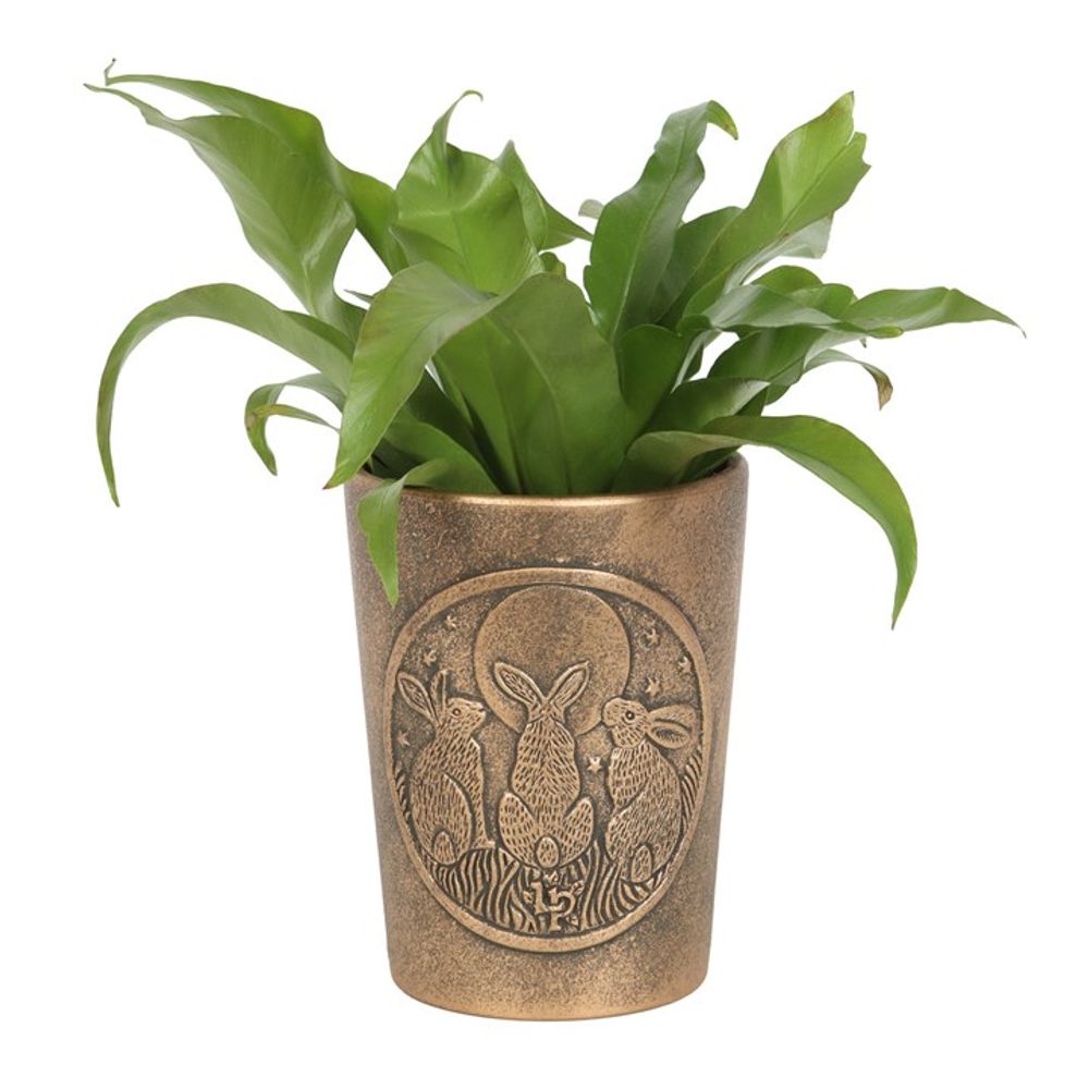A green leafy plant is potted in the Moon Shadows Bronze Terracotta Plant Pot by Lisa Parker, featuring her artwork of three rabbits sitting under a crescent moon and a star, surrounded by grass.