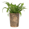 A green leafy plant with elongated leaves is potted in the Moon Gazing Hare Bronze Terracotta Plant Pot by Lisa Parker, which features an etched depiction of the Moon Gazing Hare sitting under a full moon, surrounded by trees.