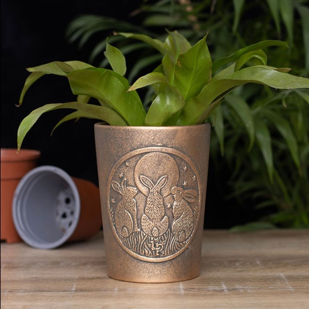The Moon Shadows Bronze Terracotta Plant Pot by Lisa Parker features an intricate design inspired by her Moon Shadows artwork, adorned with three rabbits and moon and star icons. It holds a vibrant green, leafy plant and is set on a wooden surface with greenery in the background, accompanied by an overturned terracotta pot.
