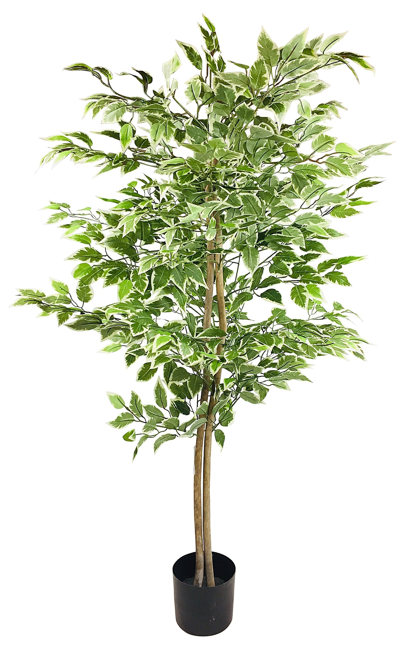 The Artificial Ficus Tree With Variegation Leaves 150cm is a tall, realistic indoor plant with multiple thin brown trunks, lush green leaves in various shades, and stands elegantly in a small black pot.