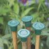 Etree Plain Cane Caps (10pcs) Gardening Accessories