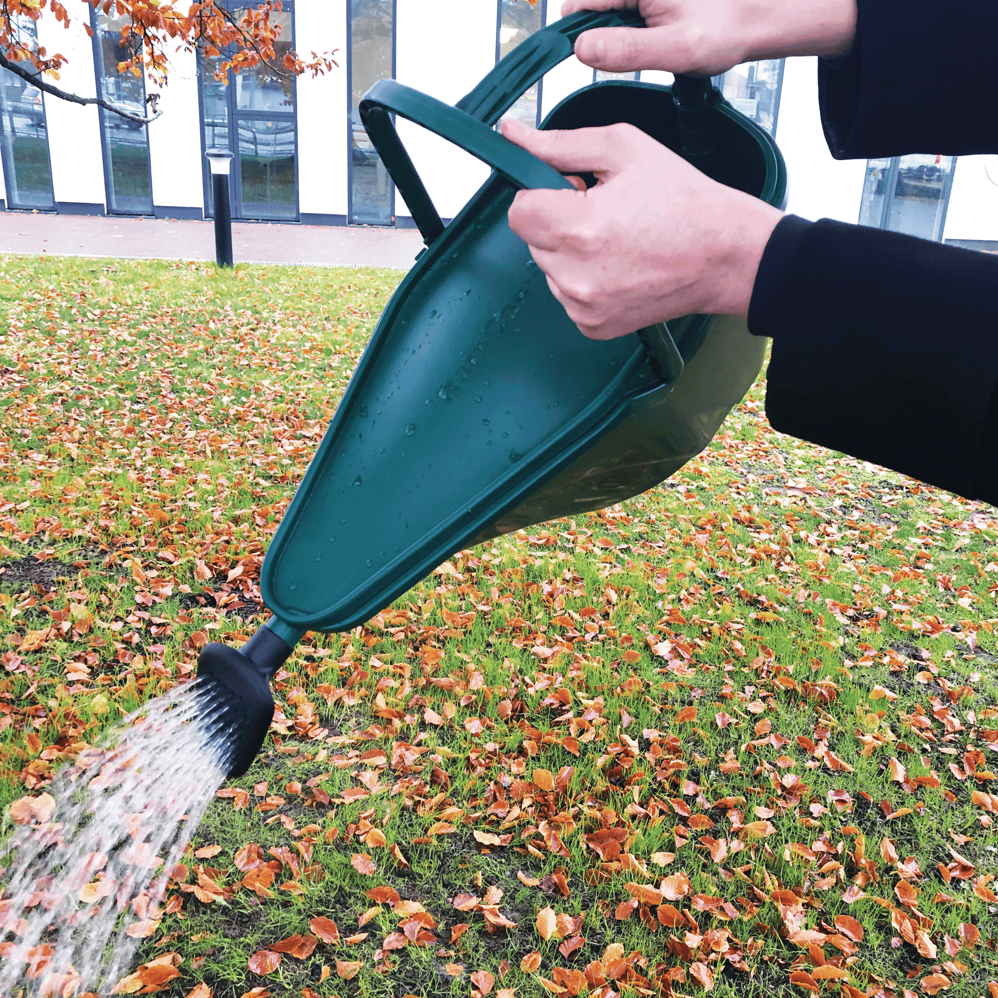 A person with a black sleeve uses the 7L Etree Eco Rain Collecting Watering Can, featuring a frog ladder to protect wildlife, to water green grass. Orange and brown leaves cover the lawn before a building with large windows, illustrating an eco-friendly approach to gardening.