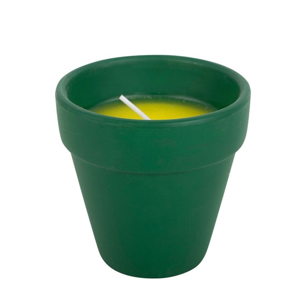 The "Thank You for Helping Me Grow Citronella Candle" features a green ceramic plant pot with a single unlit wick rising from bright yellow citronella wax, ideal for enhancing your outdoor space.