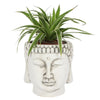 A lush green spider plant flourishes in a White Terracotta Buddha Head Planter, set against a plain white background.