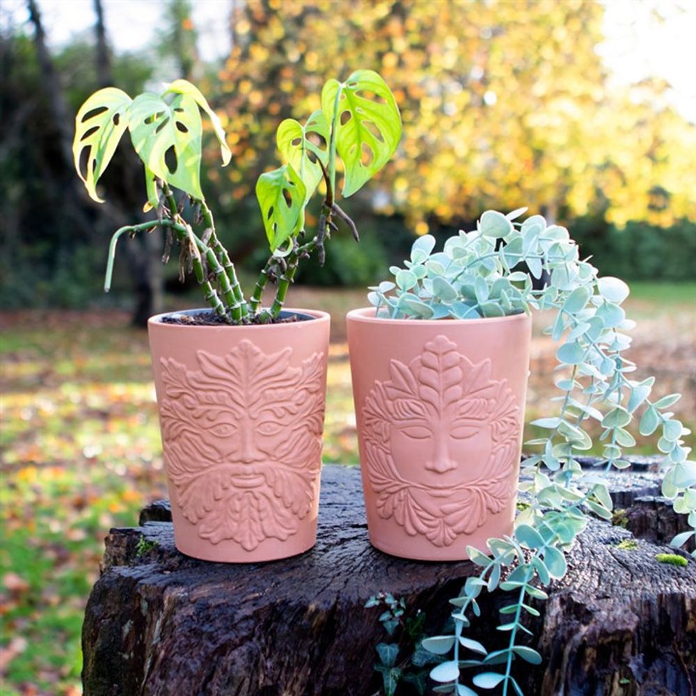 Two 16cm Green Goddess Terracotta Plant Pots rest on a tree stump, each with unique face designs evoking Mother Earth. One holds a split-leaf plant, the other has cascading round greenery. In the background, an autumn foliage-adorned grassy area completes the scene.