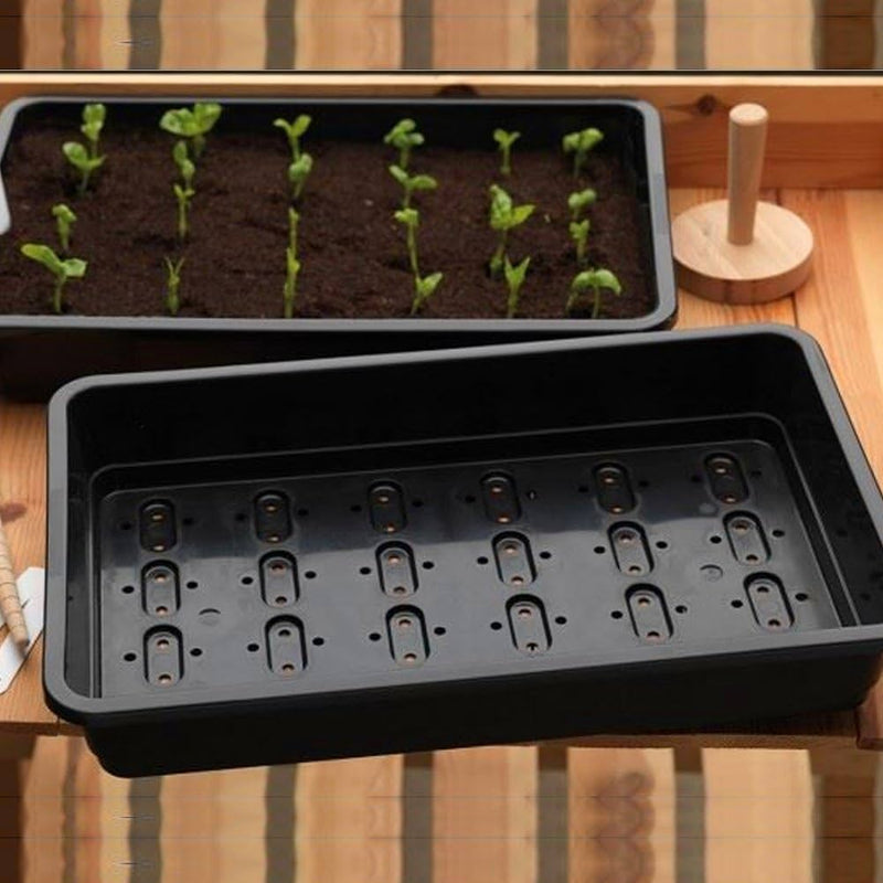 Seed Trays: With or Without Drainage Holes? Here's What the Experts Say