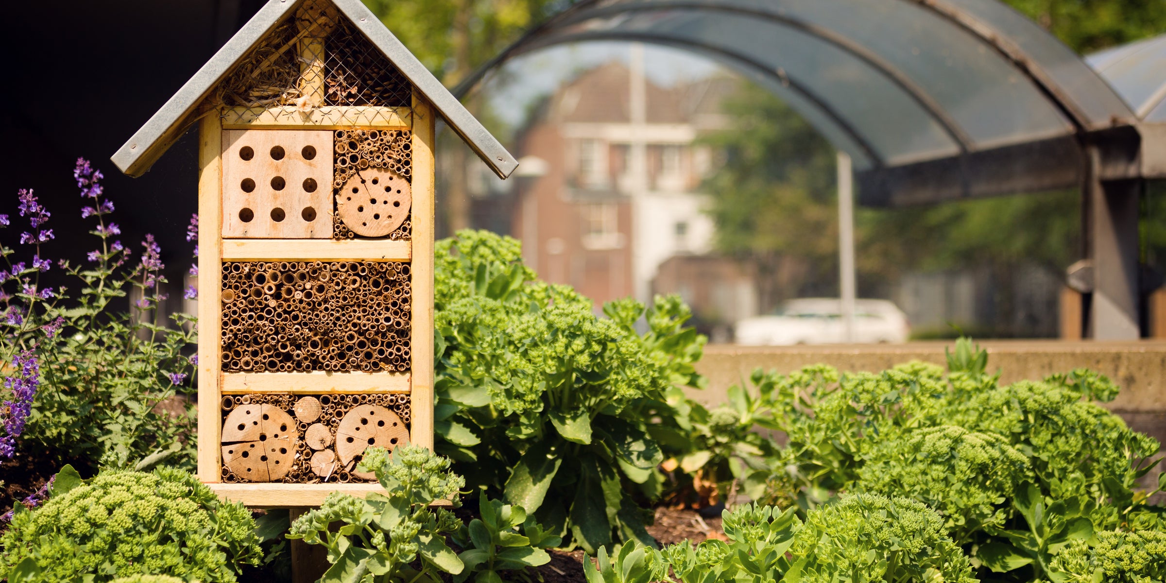 Bee Houses & Wildlife Sanctuaries