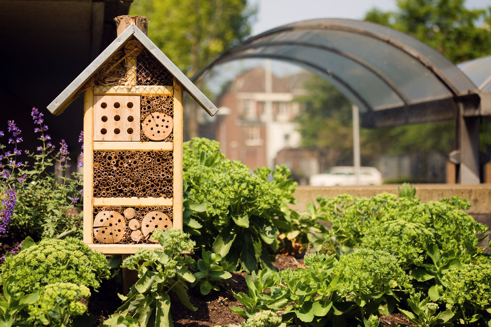 Bee Houses & Wildlife Sanctuaries