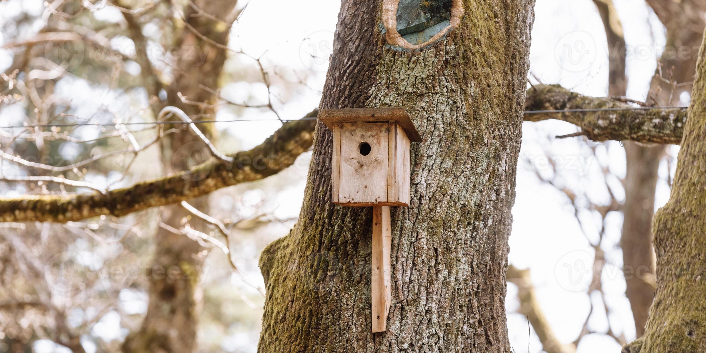 Bird Houses