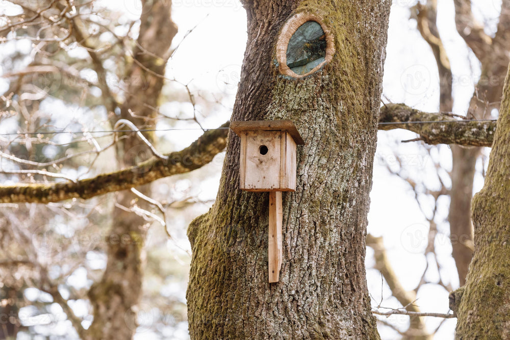 Bird Houses