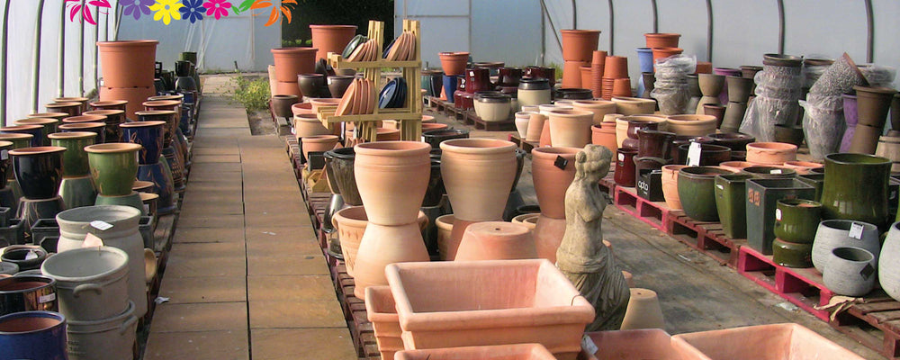 Pots & Planters