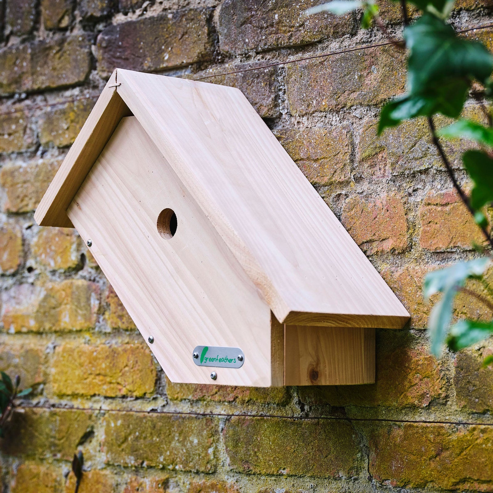 Handmade Wooden Side View Bird Box