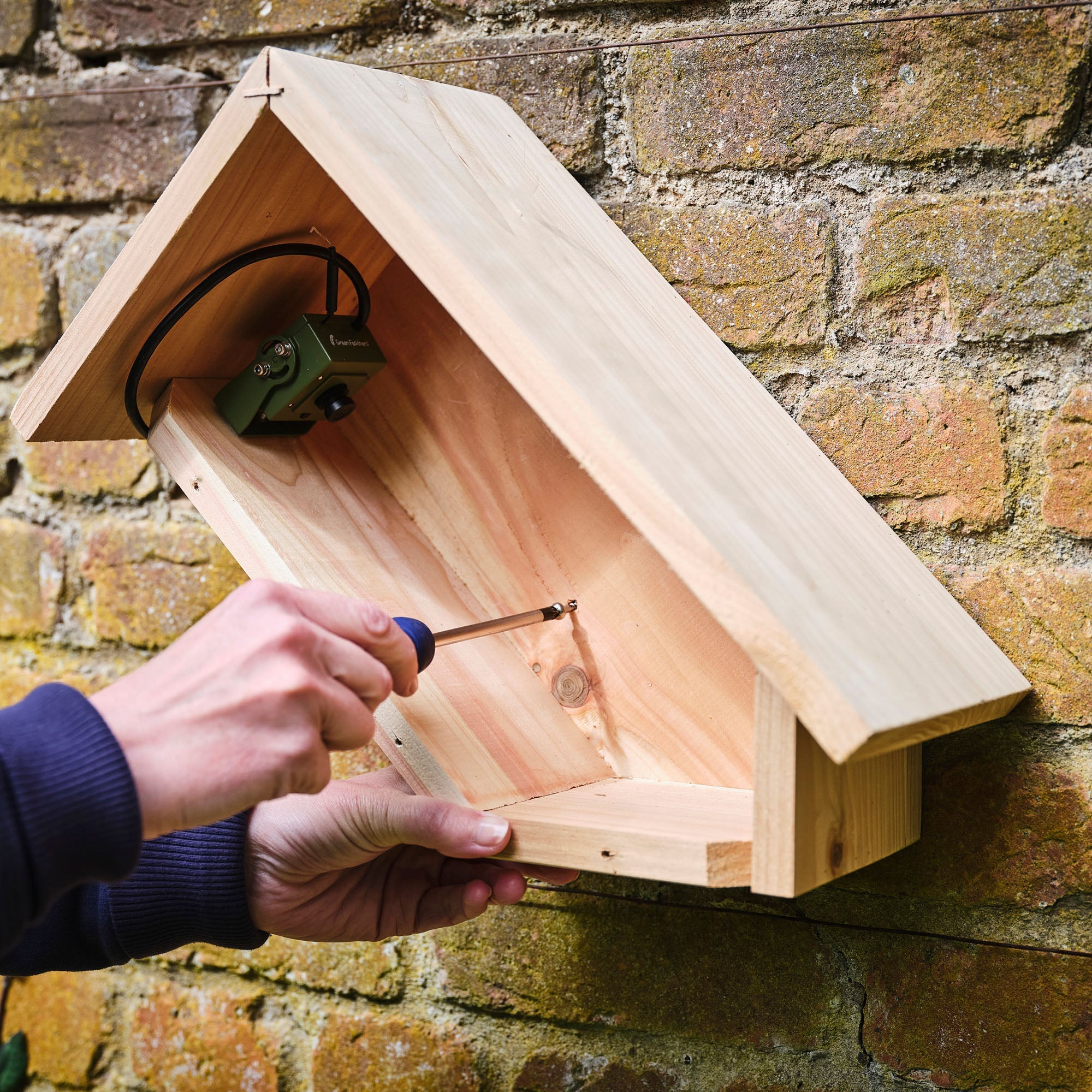 WiFi Side View Bird Box Starter Pack