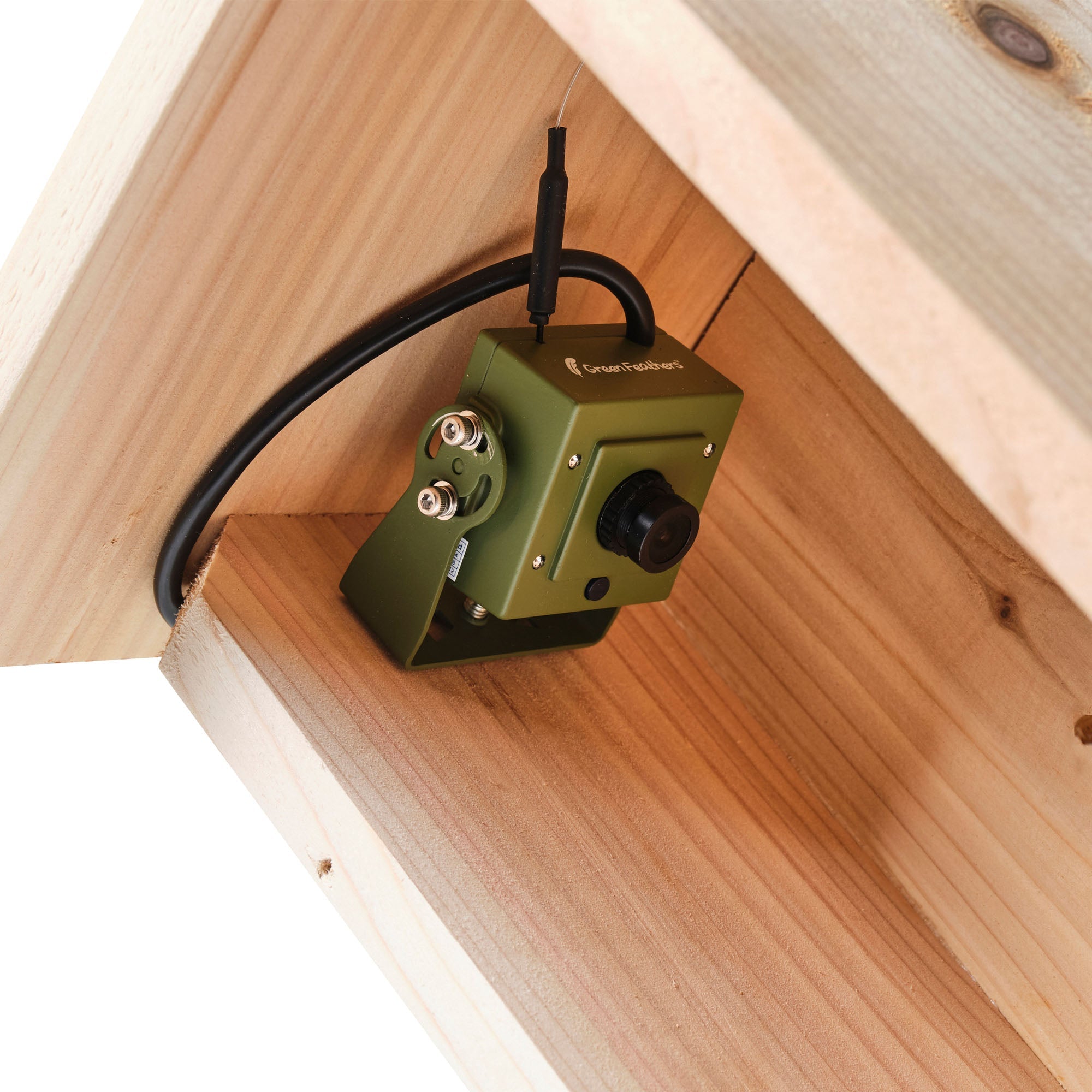 WiFi Side View Bird Box Starter Pack