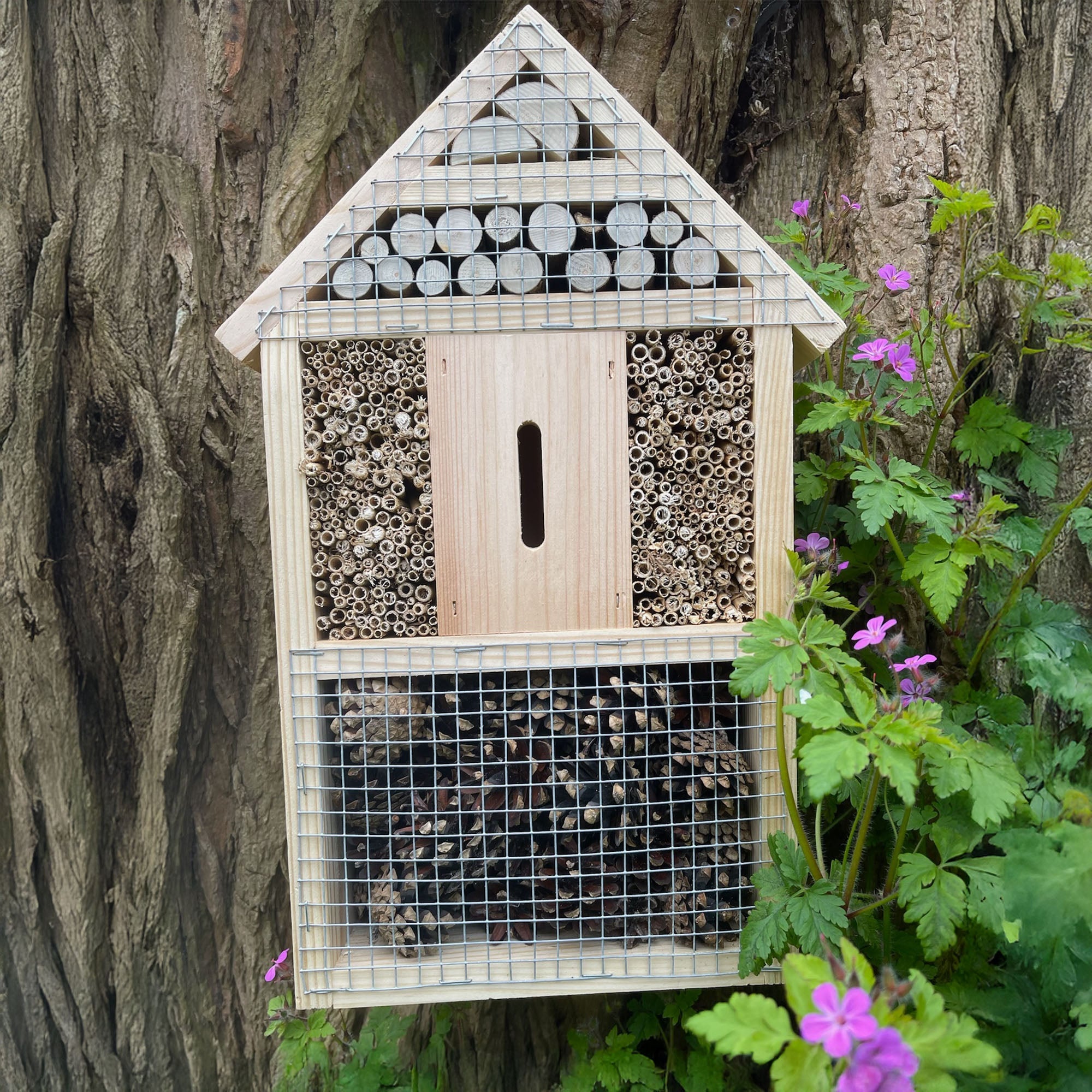 Green Feathers Bug Hotel