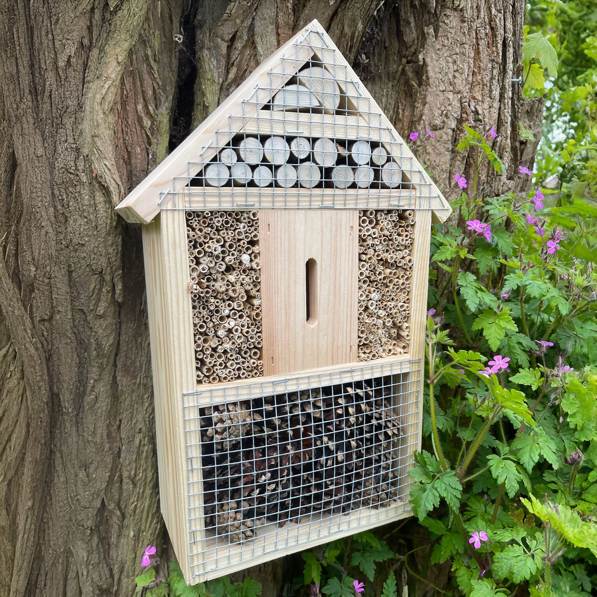Green Feathers Bug Hotel