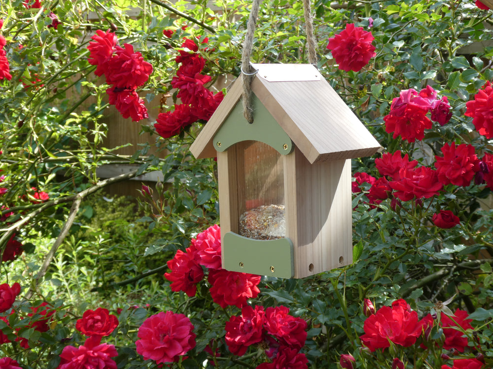 A Wildlife World Bird Barn - Bird Feeder is hanging among vibrant red roses in a garden. The eco-friendly, wooden feeder contains bird seeds and is suspended by a rope, blending beautifully with the lush green foliage and bright blossoms, attracting various garden birds.