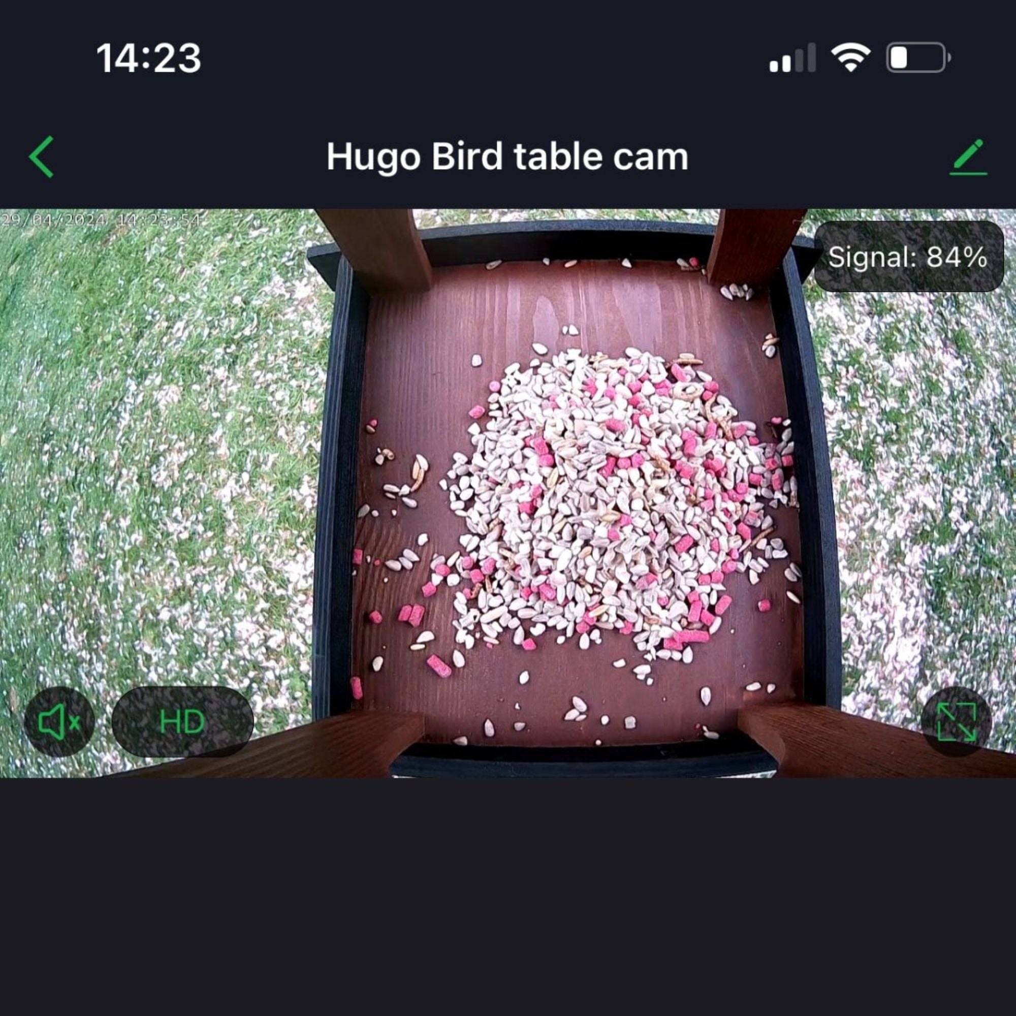 WiFi Hugo Bird Table HD Camera Pack