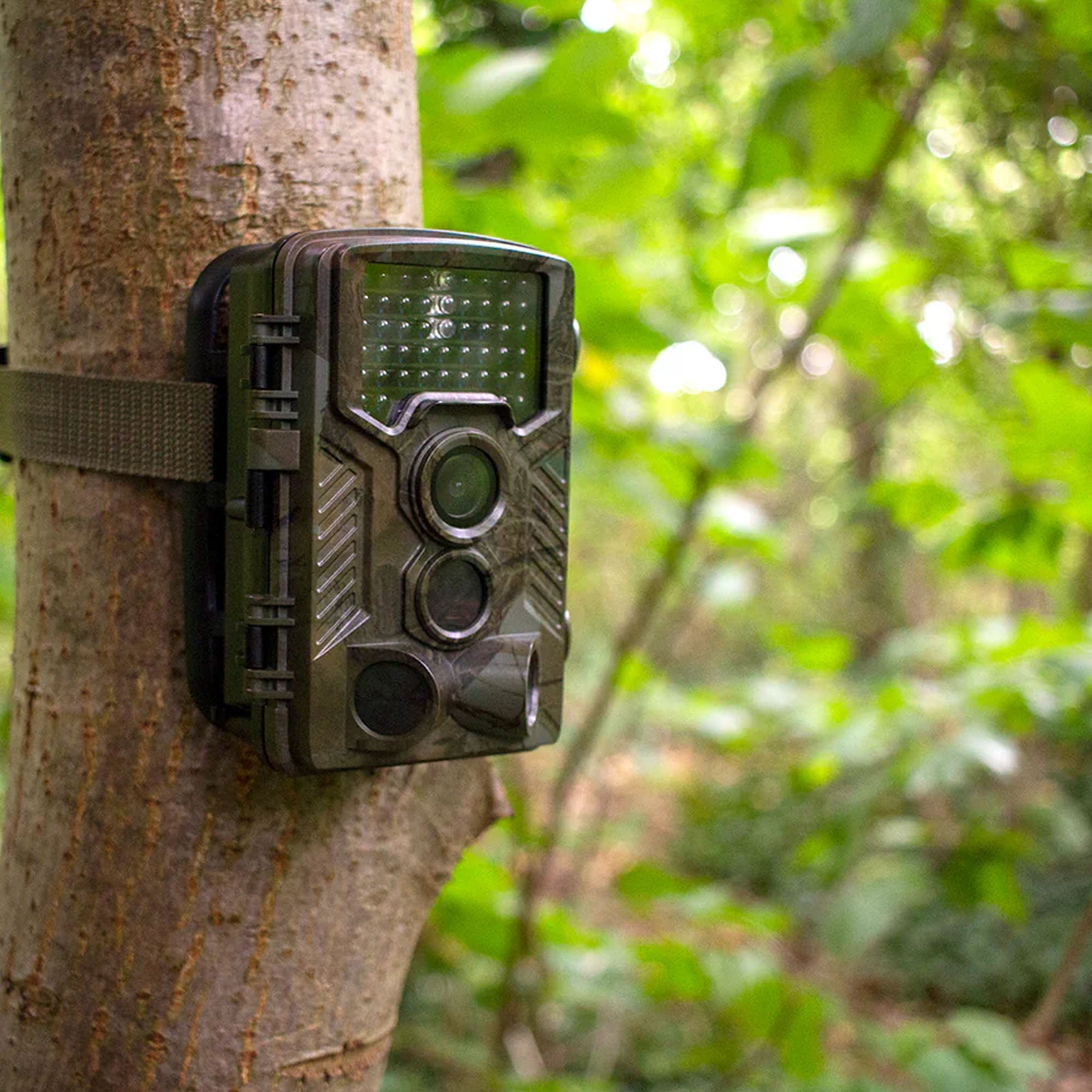 Garden Wildlife Trail Camera HD