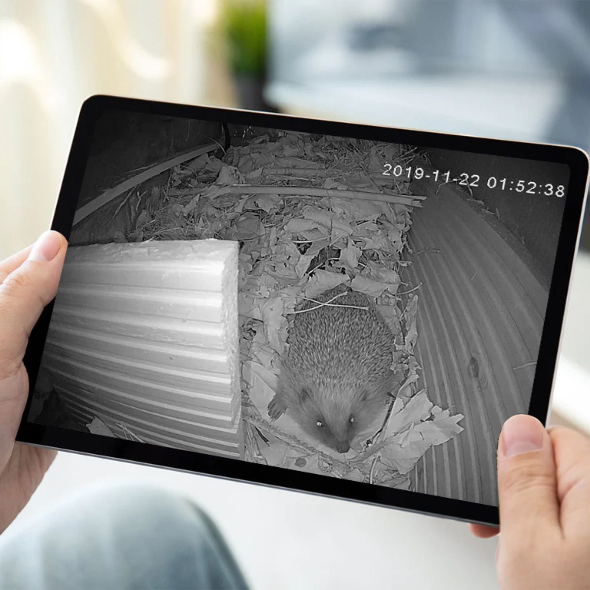 WiFi HD Hedgehog House Camera (3rd Gen)