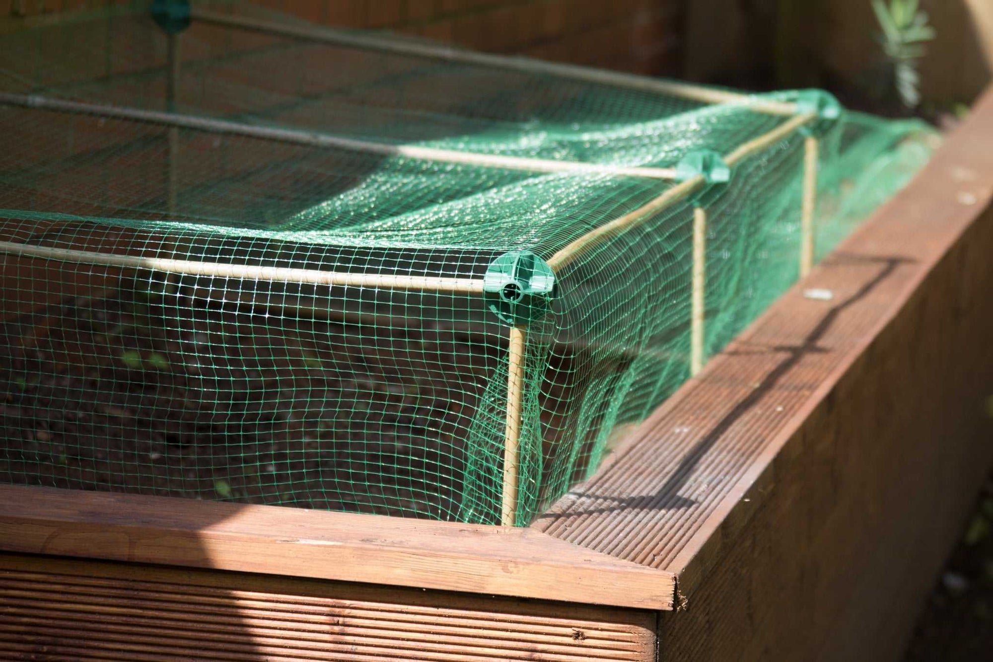 Cane Balls - Build netting cages and plant structures the simple way.