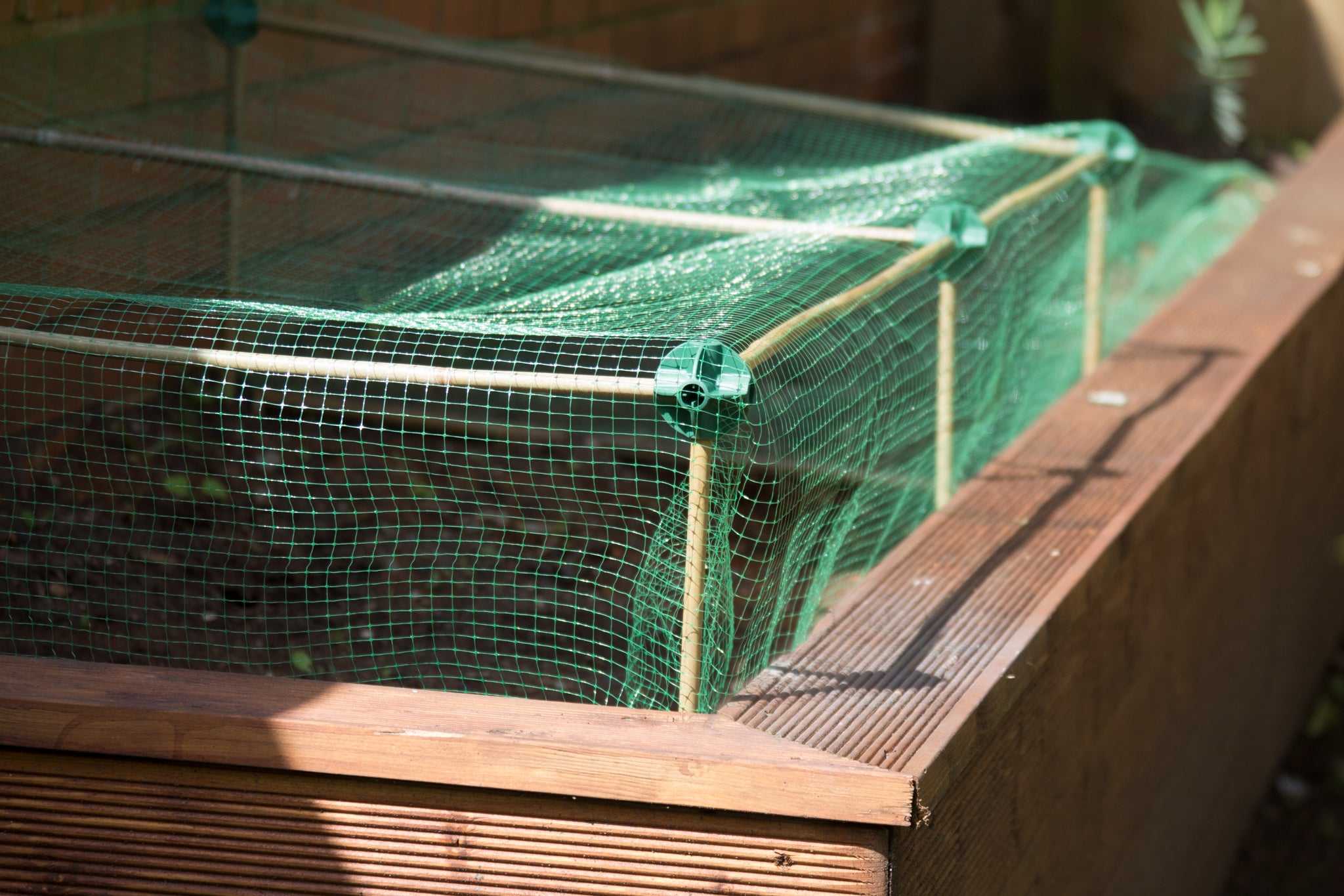 Cane Balls - Build netting cages and plant structures the simple way.