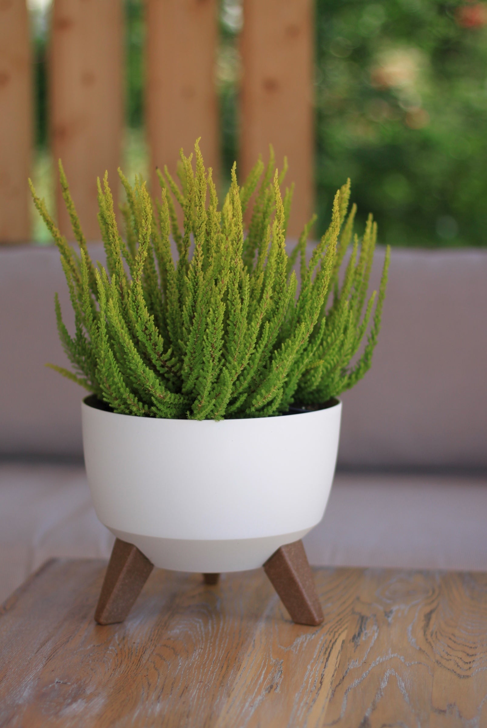 Roma Bowl Pot with Legs, Insert and Hole with Plug 240mm White