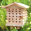 Solitary Bee Hive