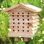 Solitary Bee Hive