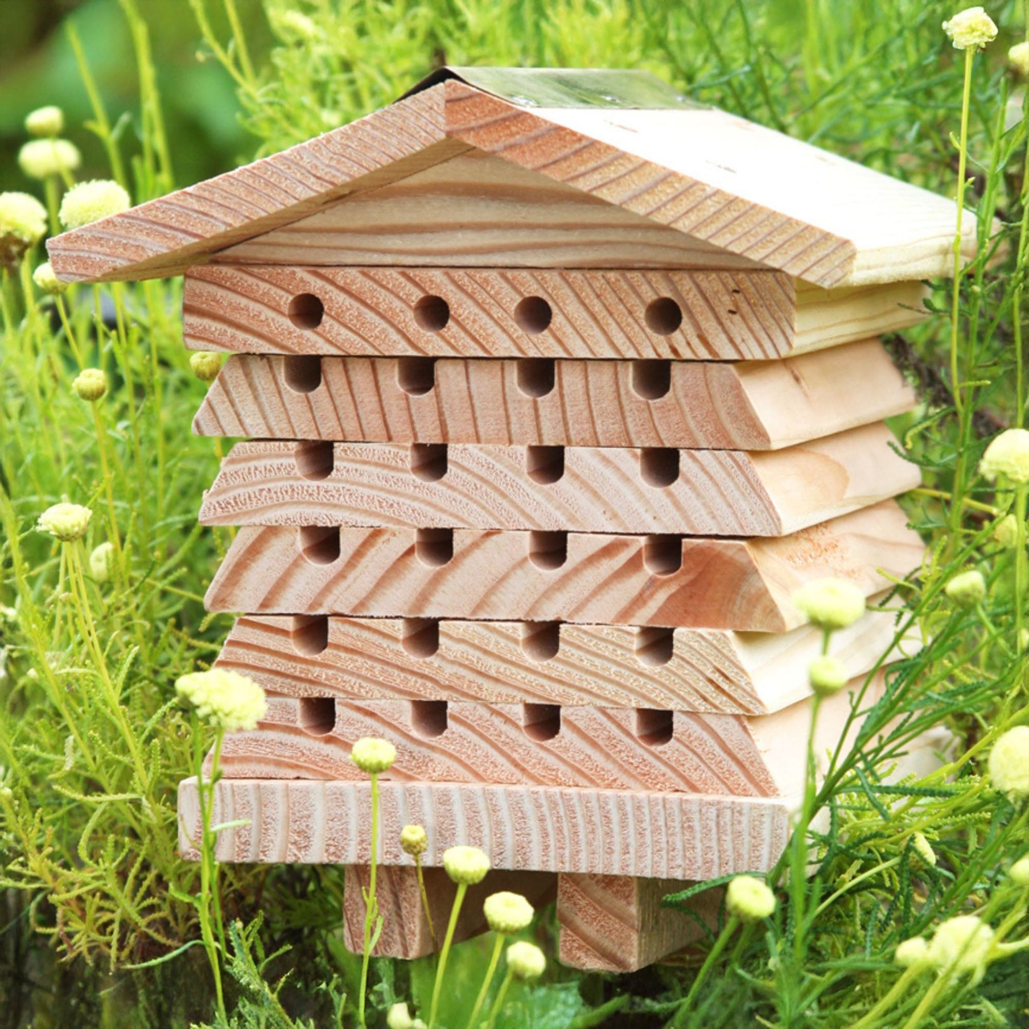Solitary Bee Hive