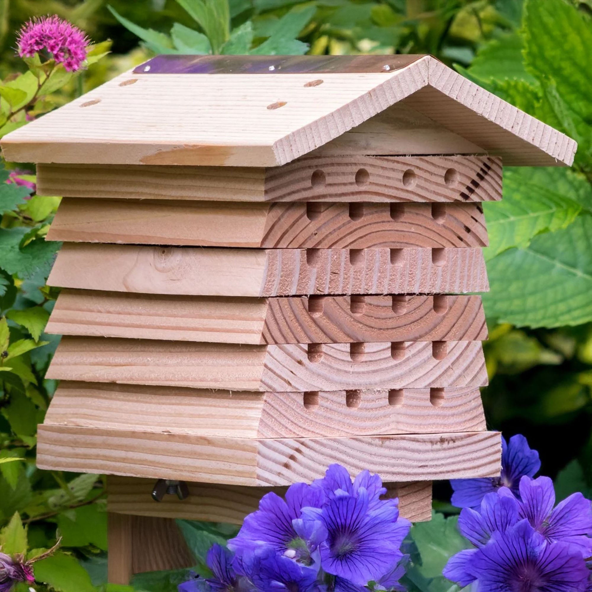 Solitary Bee Hive
