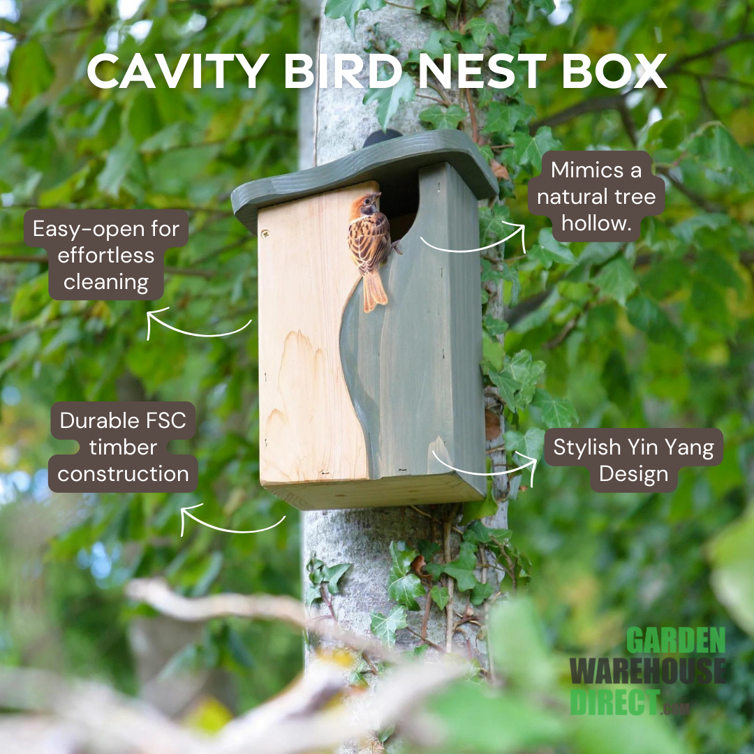 A bird sits in the entrance of the Wildlife World Curve, Cavity Bird Nest Box by Simon King, attached to a tree. This unique nest box with its green and beige wooden finish features a Yin Yang design and highlights that it mimics a natural tree hollow. It also boasts an easy-open feature for cleaning and is constructed from durable FSC timber, making it perfect for small birds.