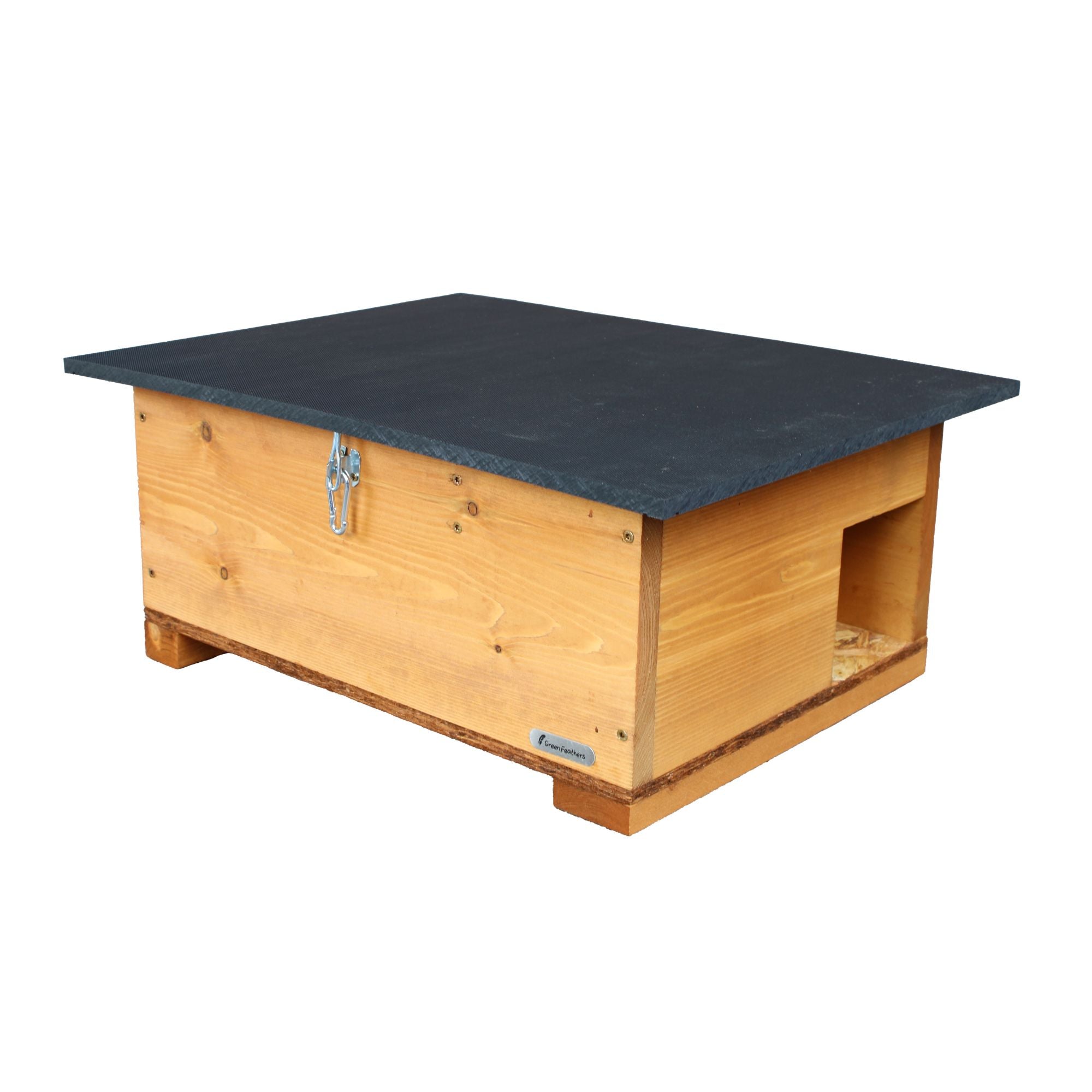 WiFi Hedgehog Box HD Camera Pack