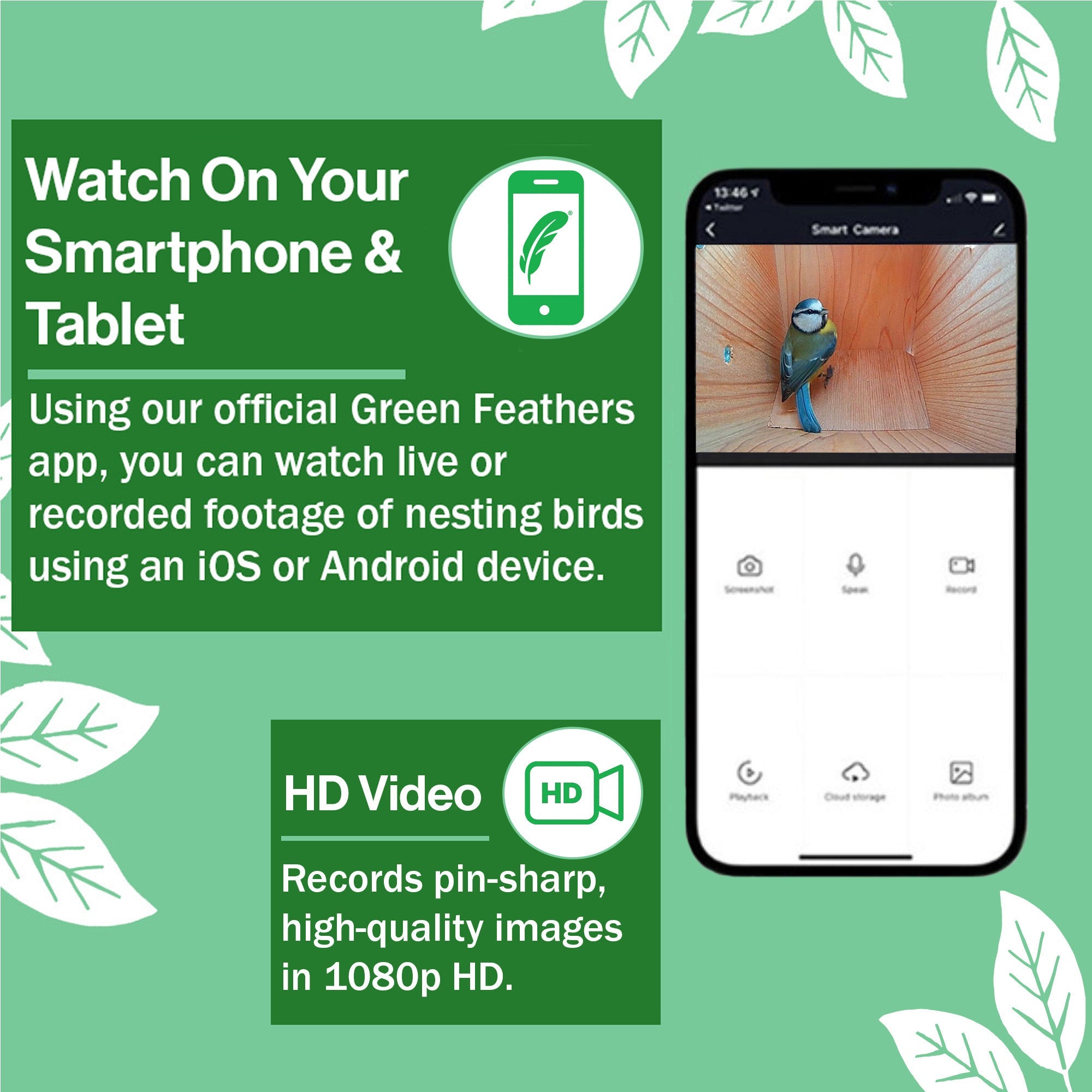 WiFi Side View Bird Box Starter Pack