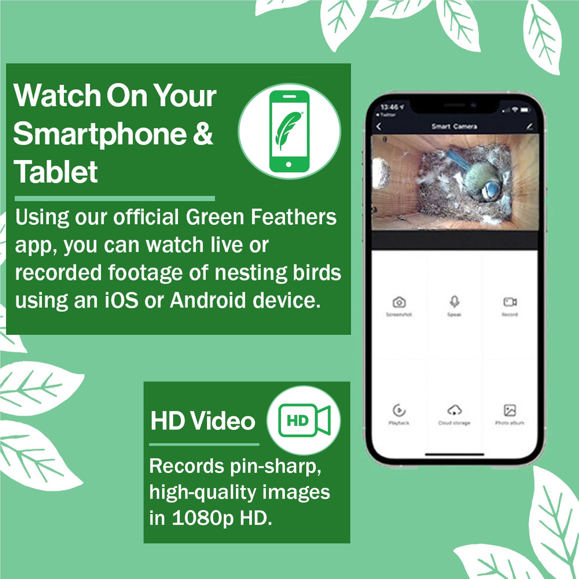 WiFi Bird Box HD Camera Complete Pack